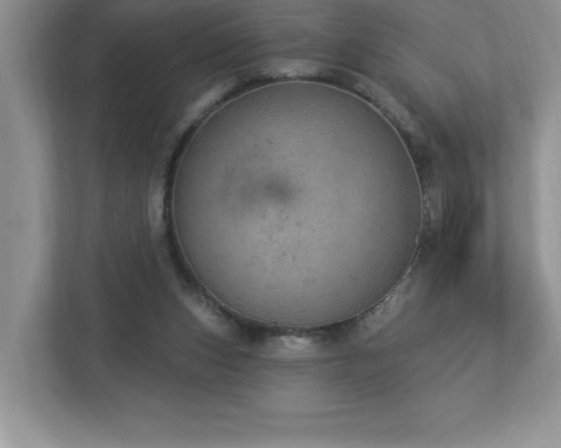 X0000112910159200908241213