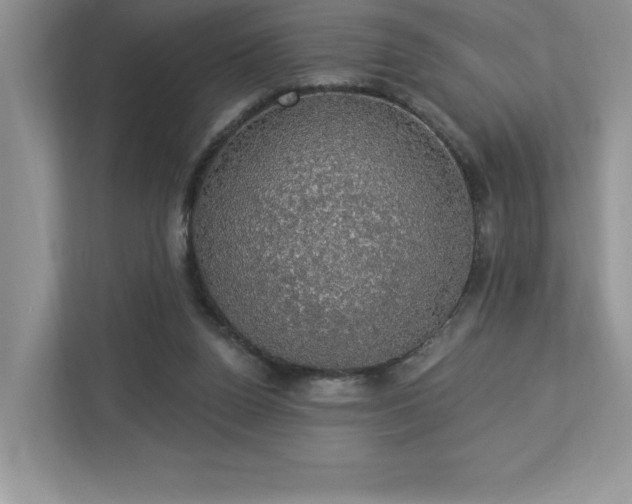 X0000112910160200908241213