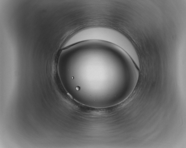 X0000112910164200908241213