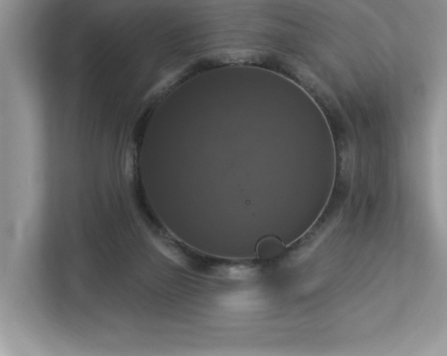 X0000112910165200908241213