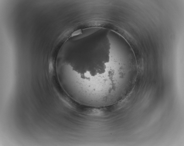 X0000112910166200908241213