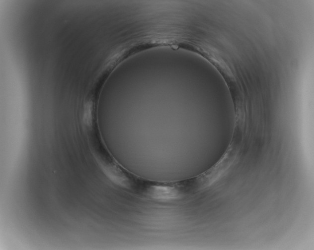 X0000112910167200908241213