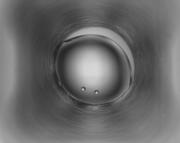 X0000112910170200908241213