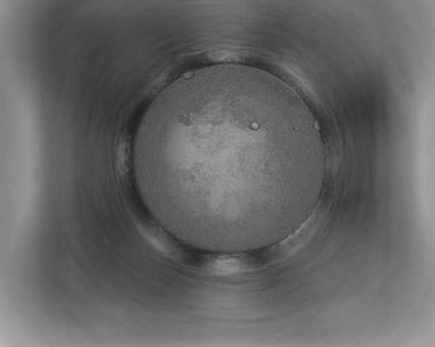 X0000112910171200908241213