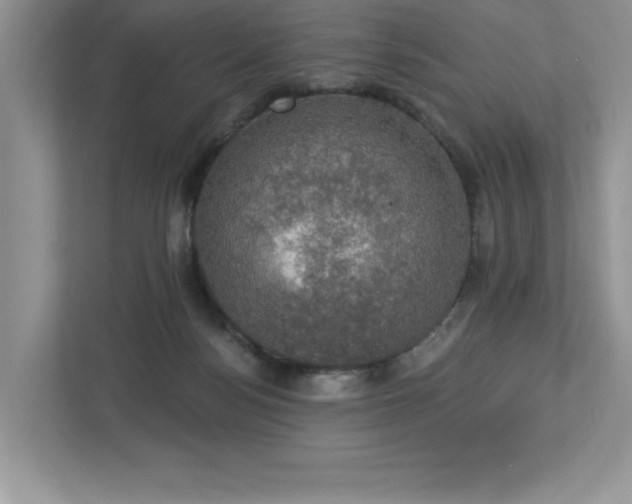 X0000112910172200908241213