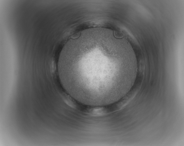 X0000112910173200908241213