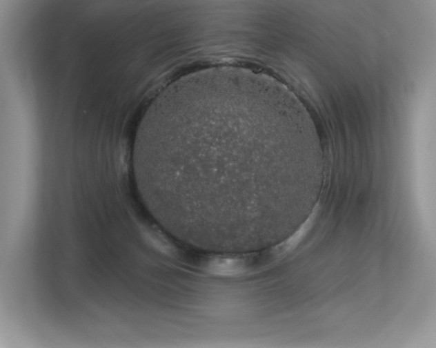 X0000112910174200908241213