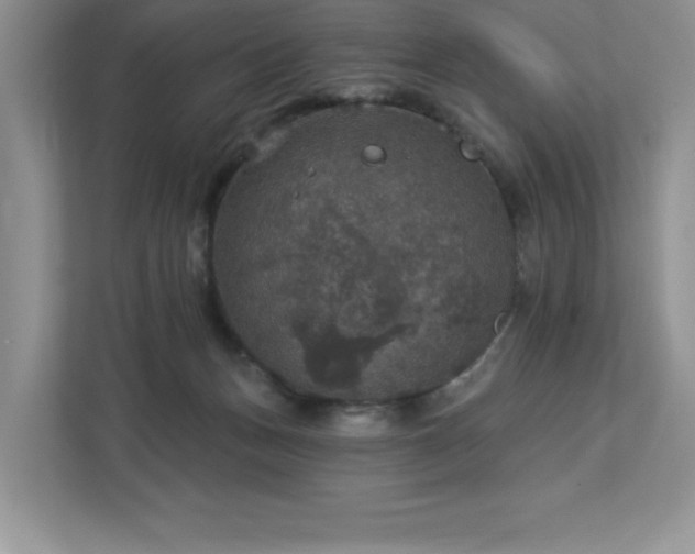 X0000112910175200908241213