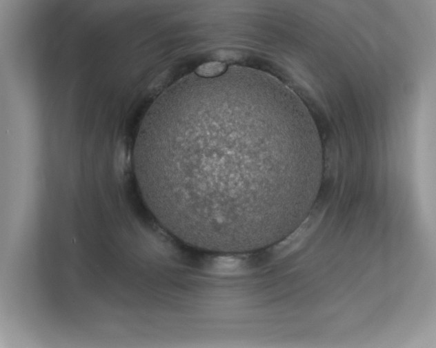 X0000112910176200908241213