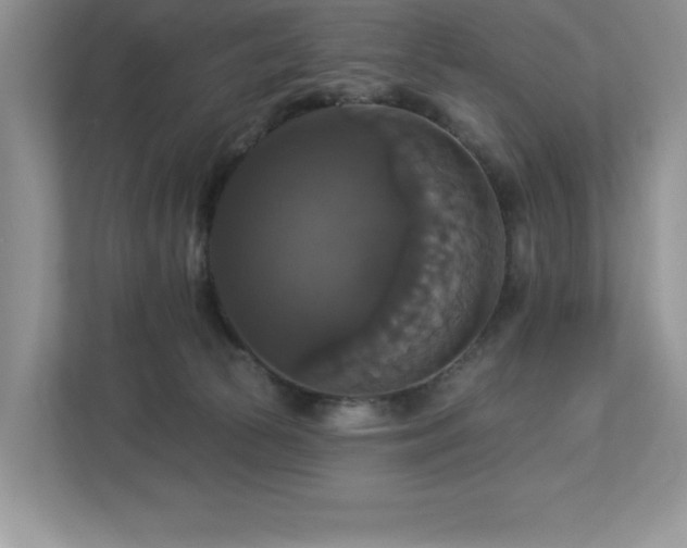 X0000112910177200908241213