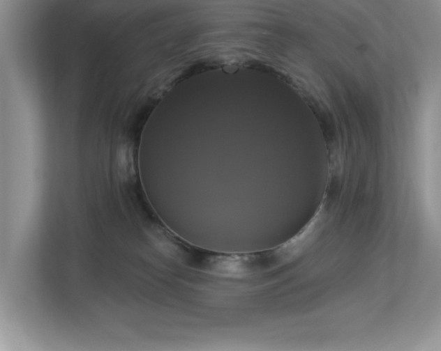 X0000112910182200908241213