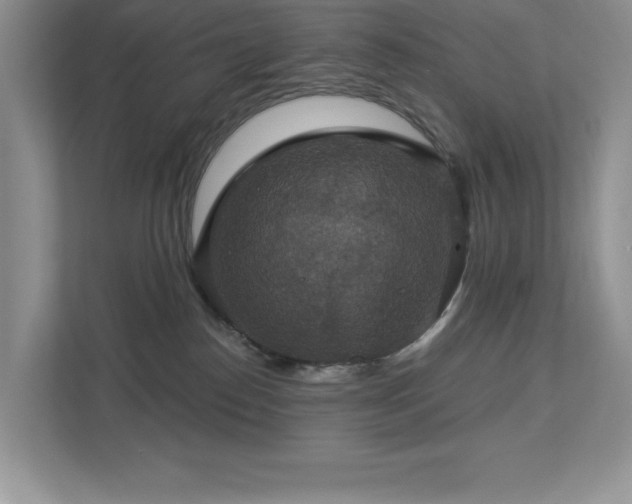 X0000112910186200908241213