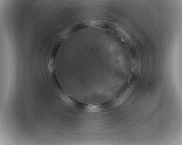 X0000112910189200908241213