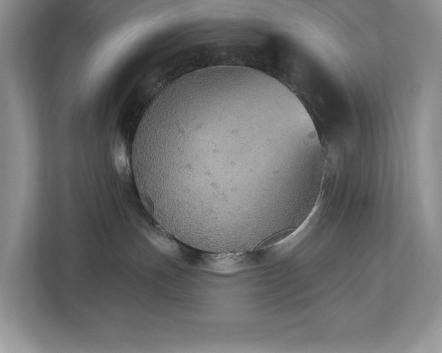 X0000112910191200908241213