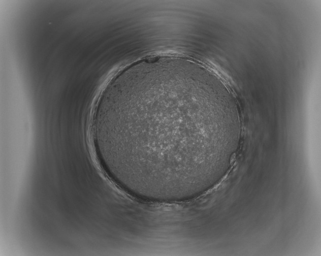 X0000112910193200908241213