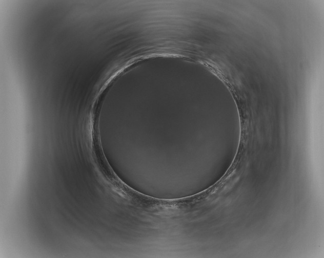 X0000112910194200908241213