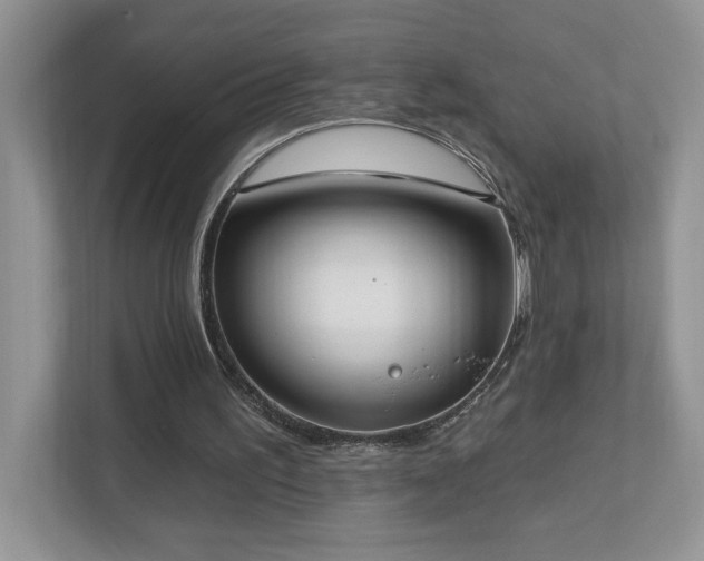 X0000112910195200908241213