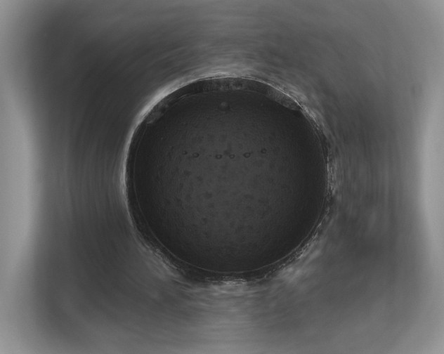 X0000112910196200908241213