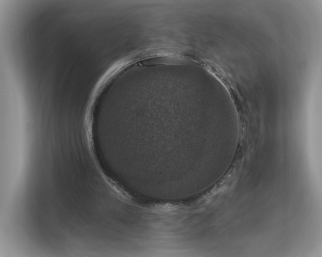 X0000112910197200908241213