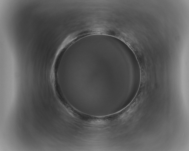 X0000112910198200908241213