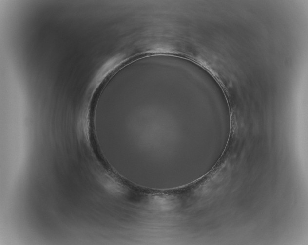 X0000112910199200908241213