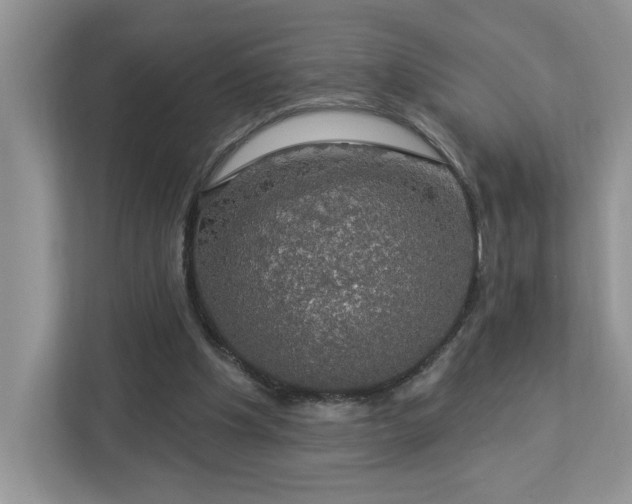 X0000112910201200908241213