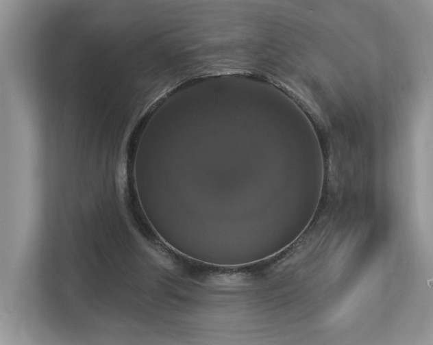 X0000112910202200908241213