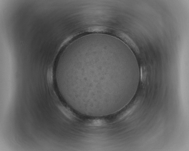 X0000112910204200908241213