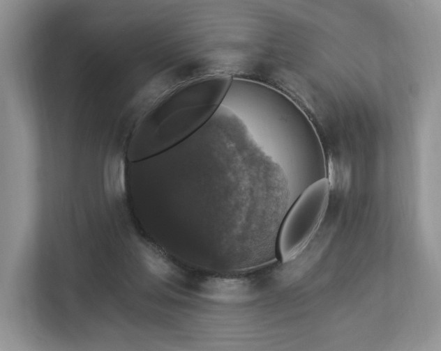 X0000112910205200908241213