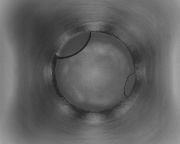 X0000112910207200908241213