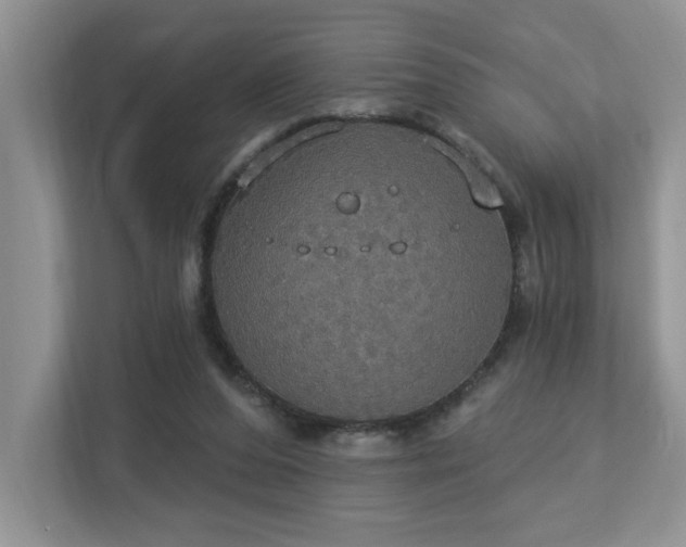 X0000112910208200908241213