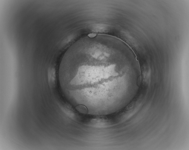 X0000112910211200908241212