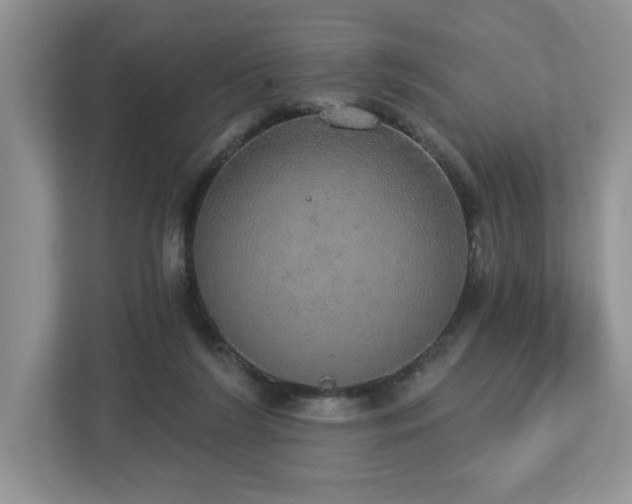 X0000112910212200908241212