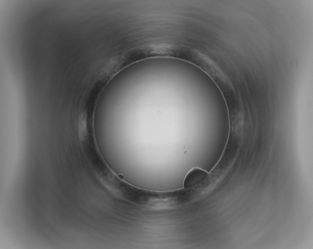 X0000112910213200908241212