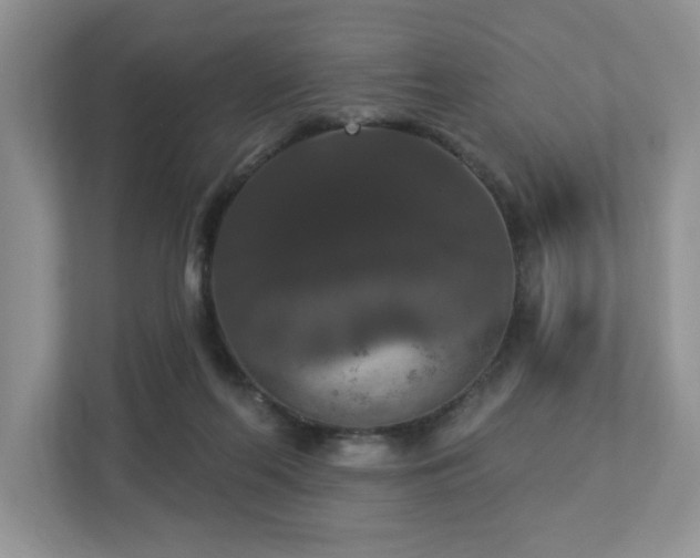 X0000112910214200908241212