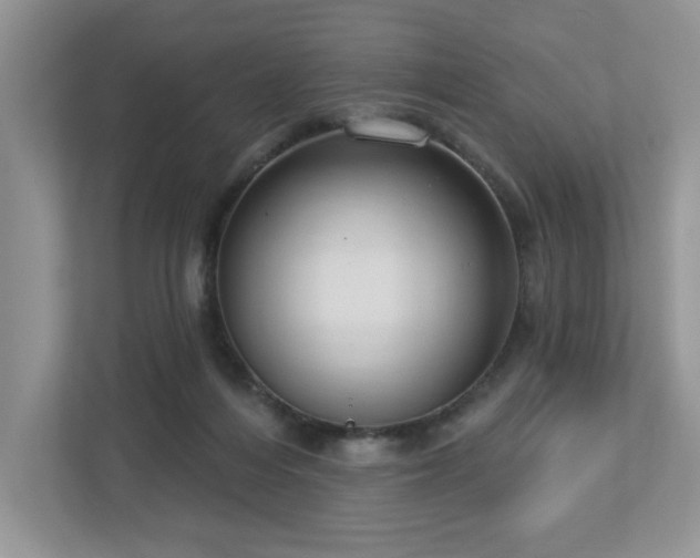 X0000112910216200908241212