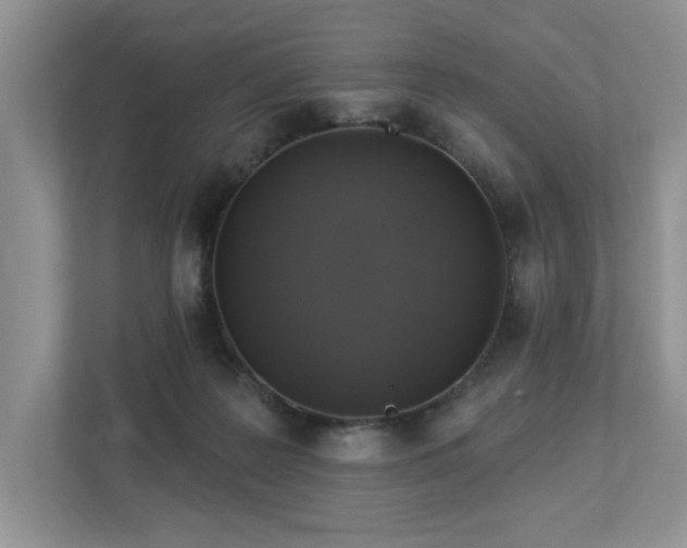 X0000112910219200908241212