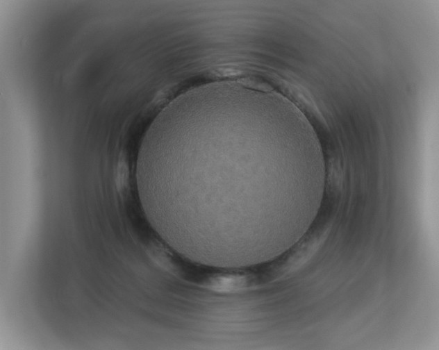 X0000112910220200908241212