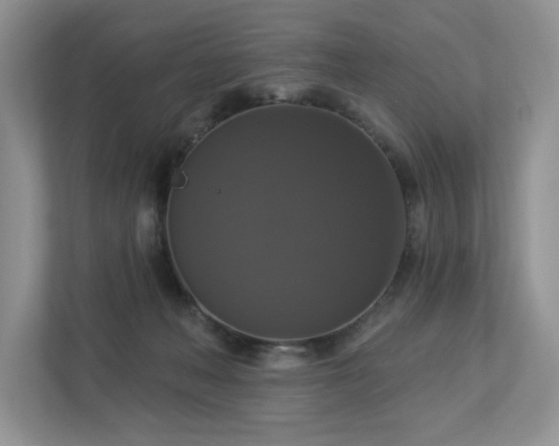 X0000112910222200908241212