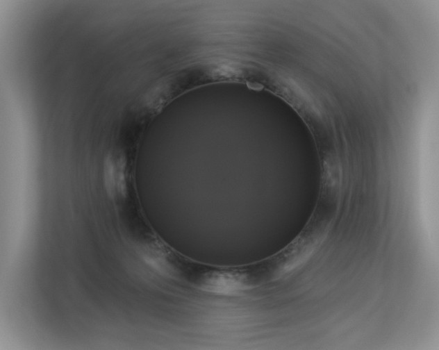 X0000112910223200908241212