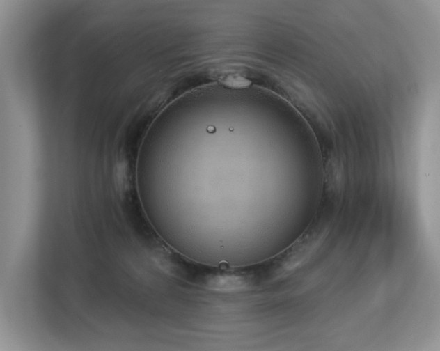 X0000112910224200908241212