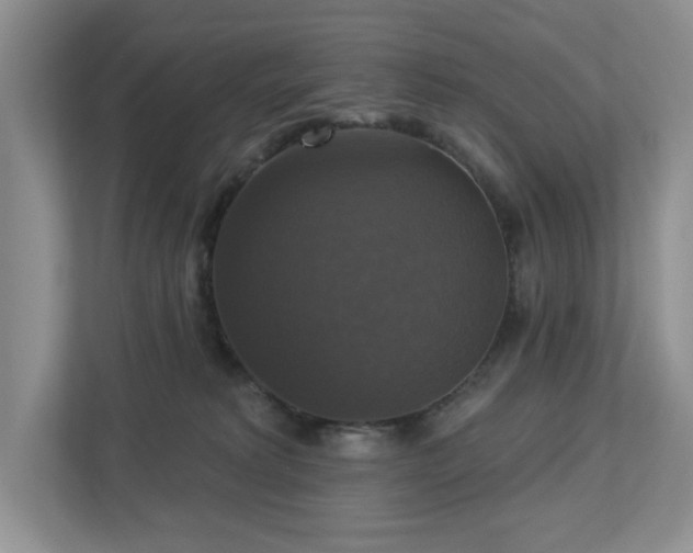 X0000112910229200908241212