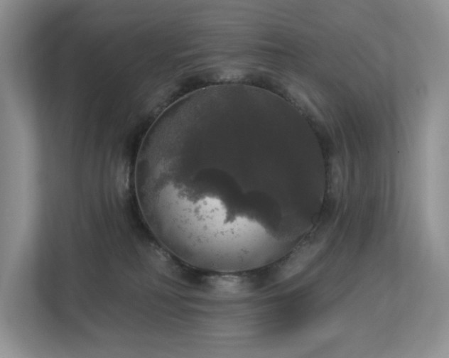 X0000112910230200908241212