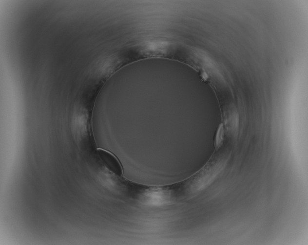 X0000112910231200908241212