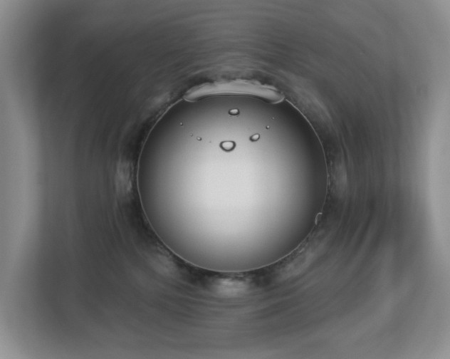 X0000112910232200908241212