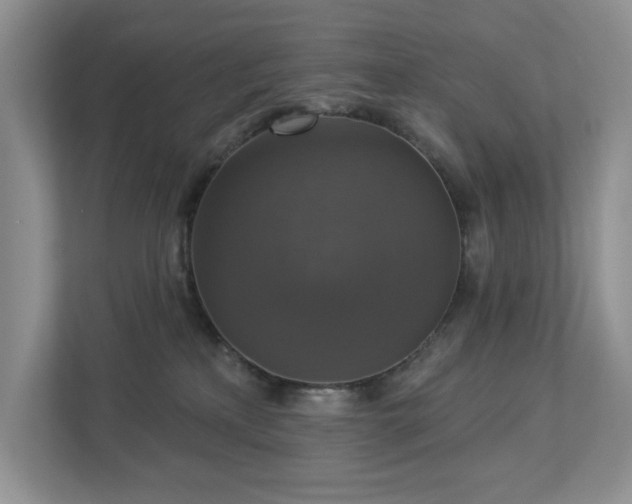 X0000112910233200908241212