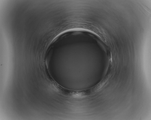 X0000112910235200908241212