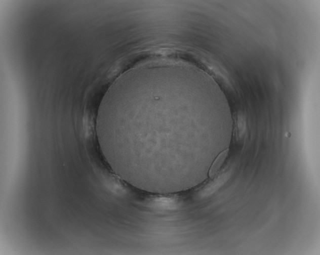 X0000112910236200908241212