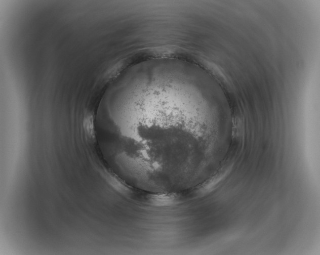 X0000112910238200908241212