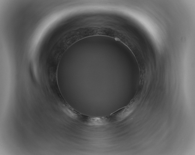 X0000112910239200908241212